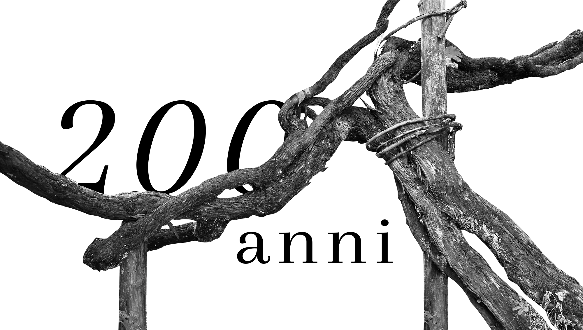 Vinga Bue Apis - Cantina del Taburno